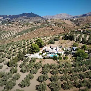 Amorosa Bed and breakfast Villanueva de la Concepción